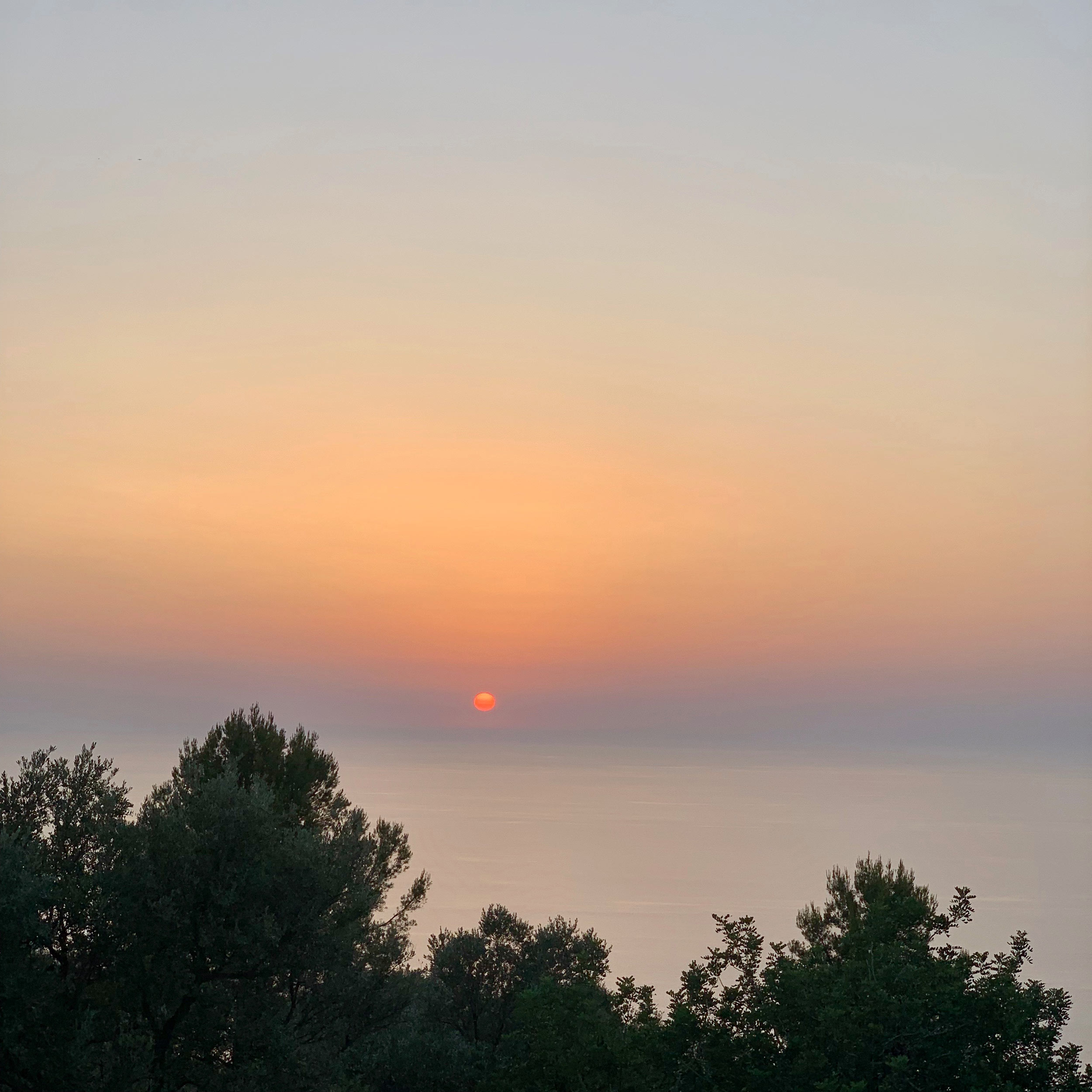 JWPortfolio2020_Mallorca_LR013JW
